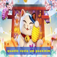 quanto custa um guaxinim